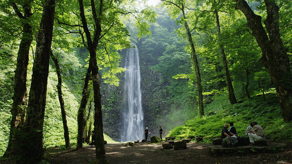 Tamasudare Falls - 玉簾の滝