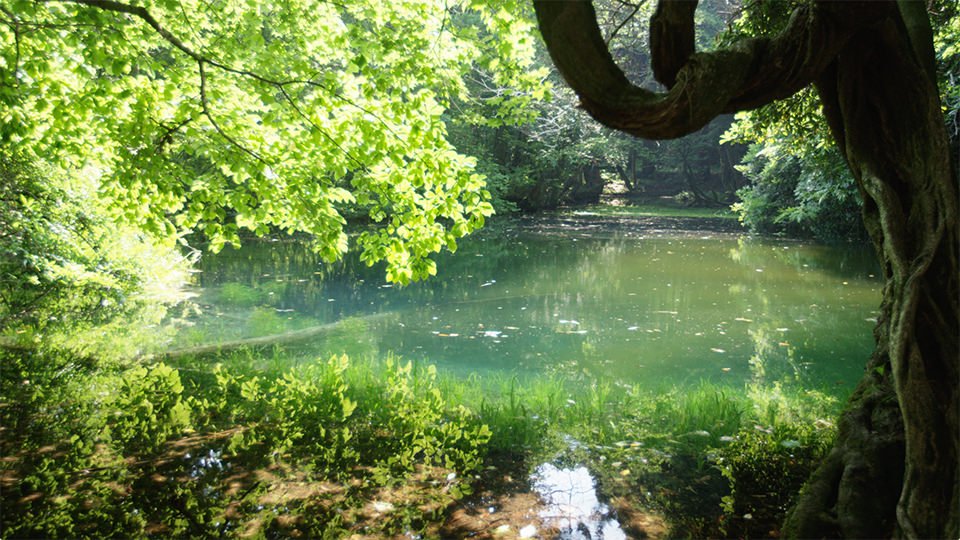 Maruike-sama Pond - 丸池様