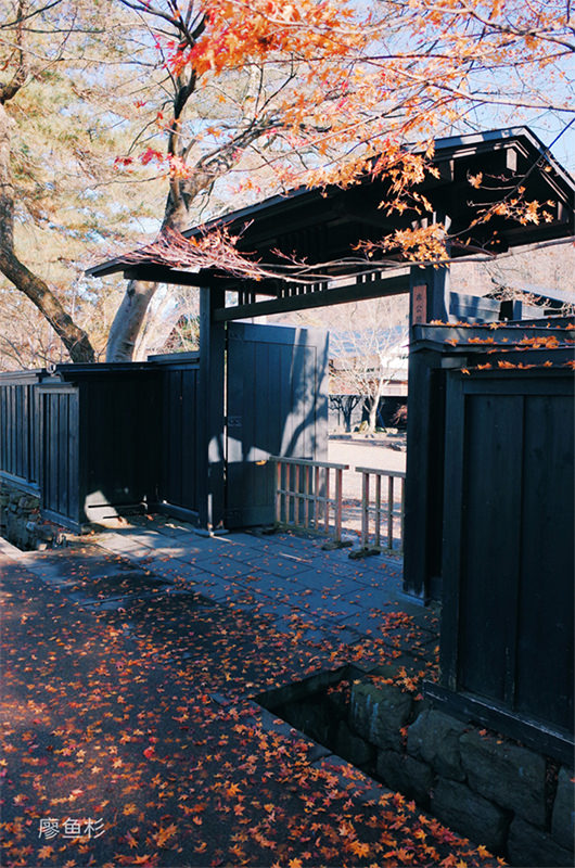 秋田不止有秋田犬,这里的人文风景样样不容错过! - 秋天 | 日本东北好玩到不行