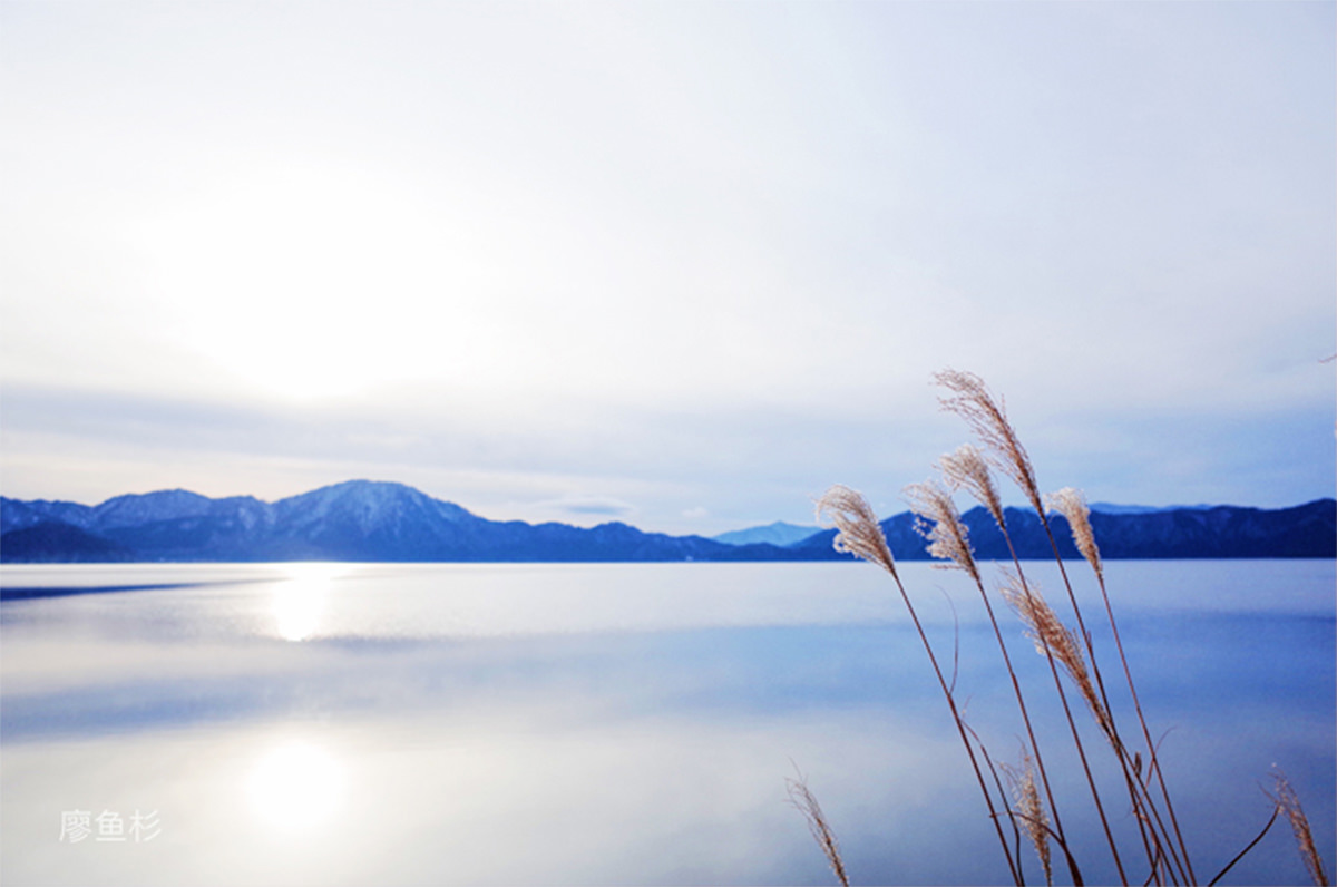 秋田不止有秋田犬,这里的人文风景样样不容错过! - 秋天 | 日本东北好玩到不行