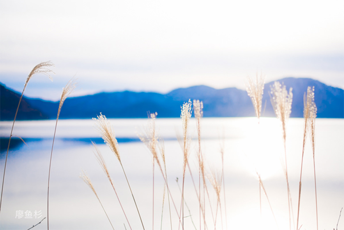秋田不止有秋田犬,这里的人文风景样样不容错过! - 秋天 | 日本东北好玩到不行