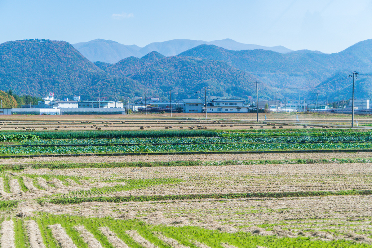 秋之味 ー 红叶与温泉交织的治愈之旅 - 秋天 | 日本东北好玩到不行