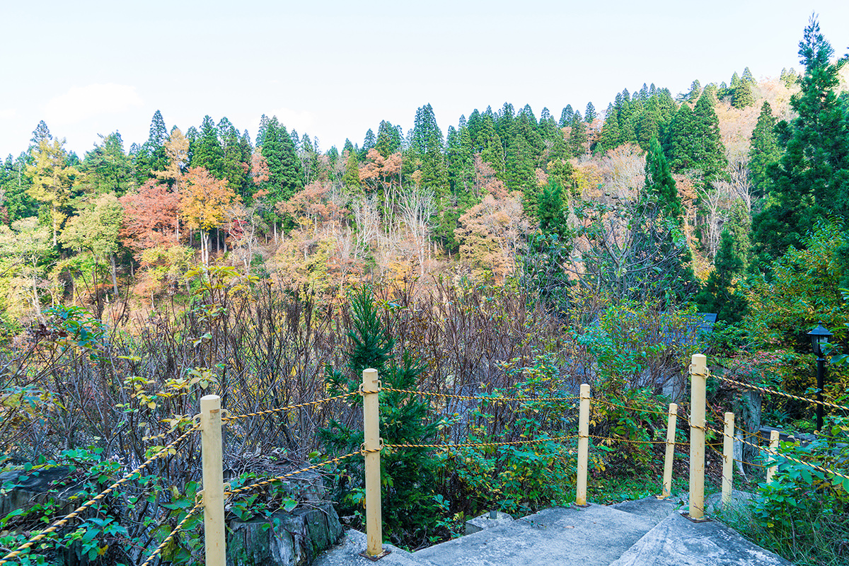 秋之味 ー 红叶与温泉交织的治愈之旅 - 秋天 | 日本东北好玩到不行