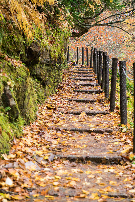 秋之味 ー 红叶与温泉交织的治愈之旅 - 秋天 | 日本东北好玩到不行
