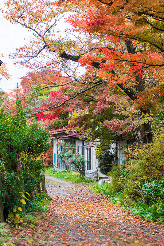 秋之味 ー 红叶与温泉交织的治愈之旅 - 秋天 | 日本东北好玩到不行