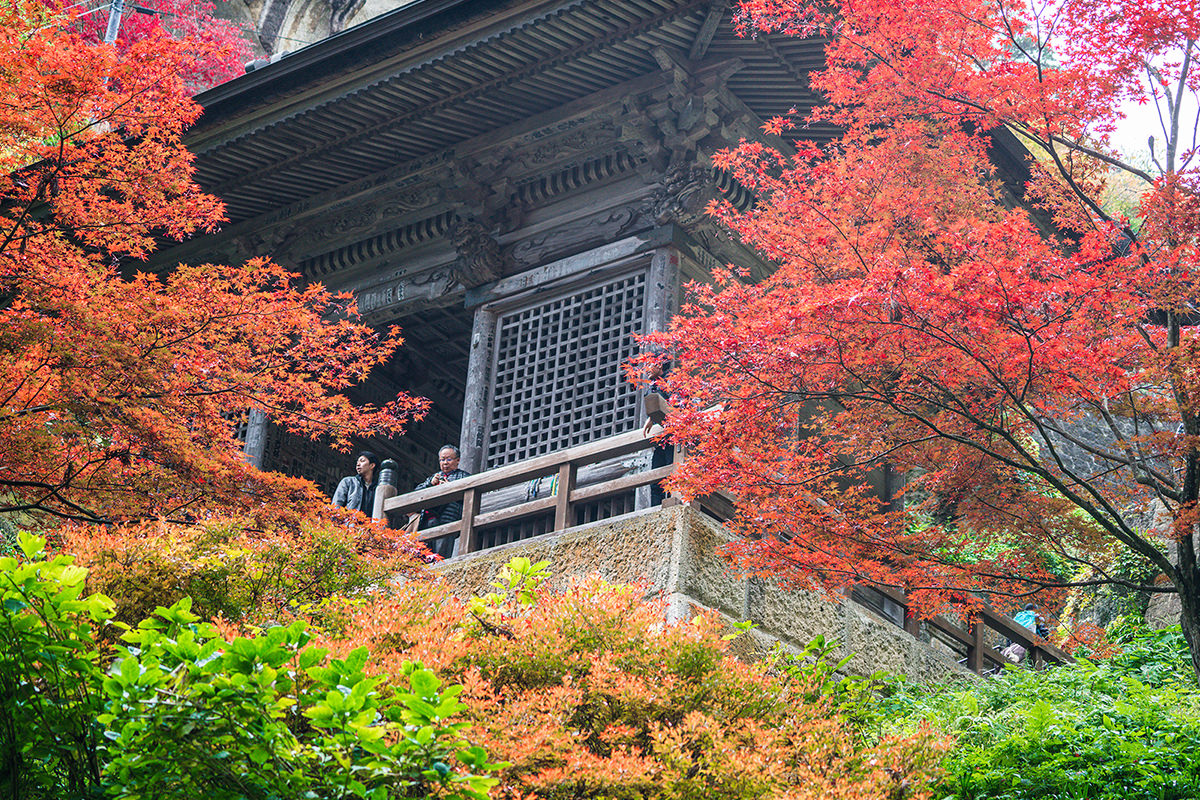 秋之味 ー 红叶与温泉交织的治愈之旅 - 秋天 | 日本东北好玩到不行