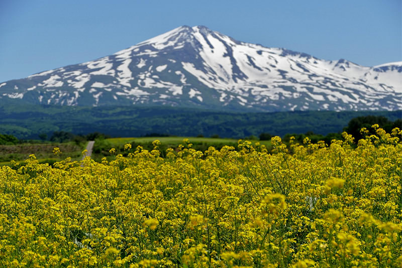 春日秋田五感之旅 - 春天 | 日本东北好玩到不行