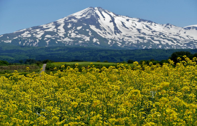 春日秋田五感之旅 - 春天 | 日本东北好玩到不行