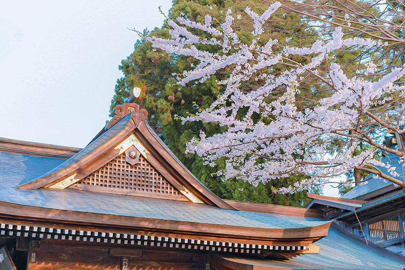 文艺东北——带着宫泽贤治去盛冈 - 春天 | 日本东北好玩到不行