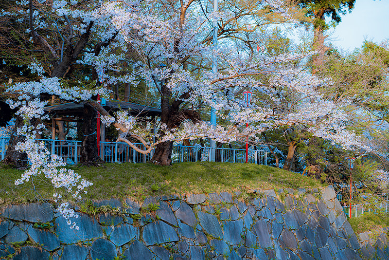 文艺东北——带着宫泽贤治去盛冈 - 春天 | 日本东北好玩到不行