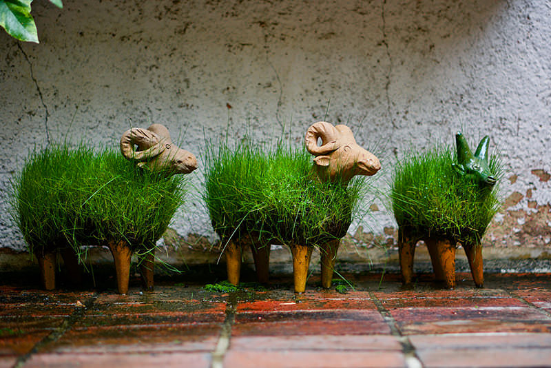 文艺东北——带着宫泽贤治去盛冈 - 春天 | 日本东北好玩到不行