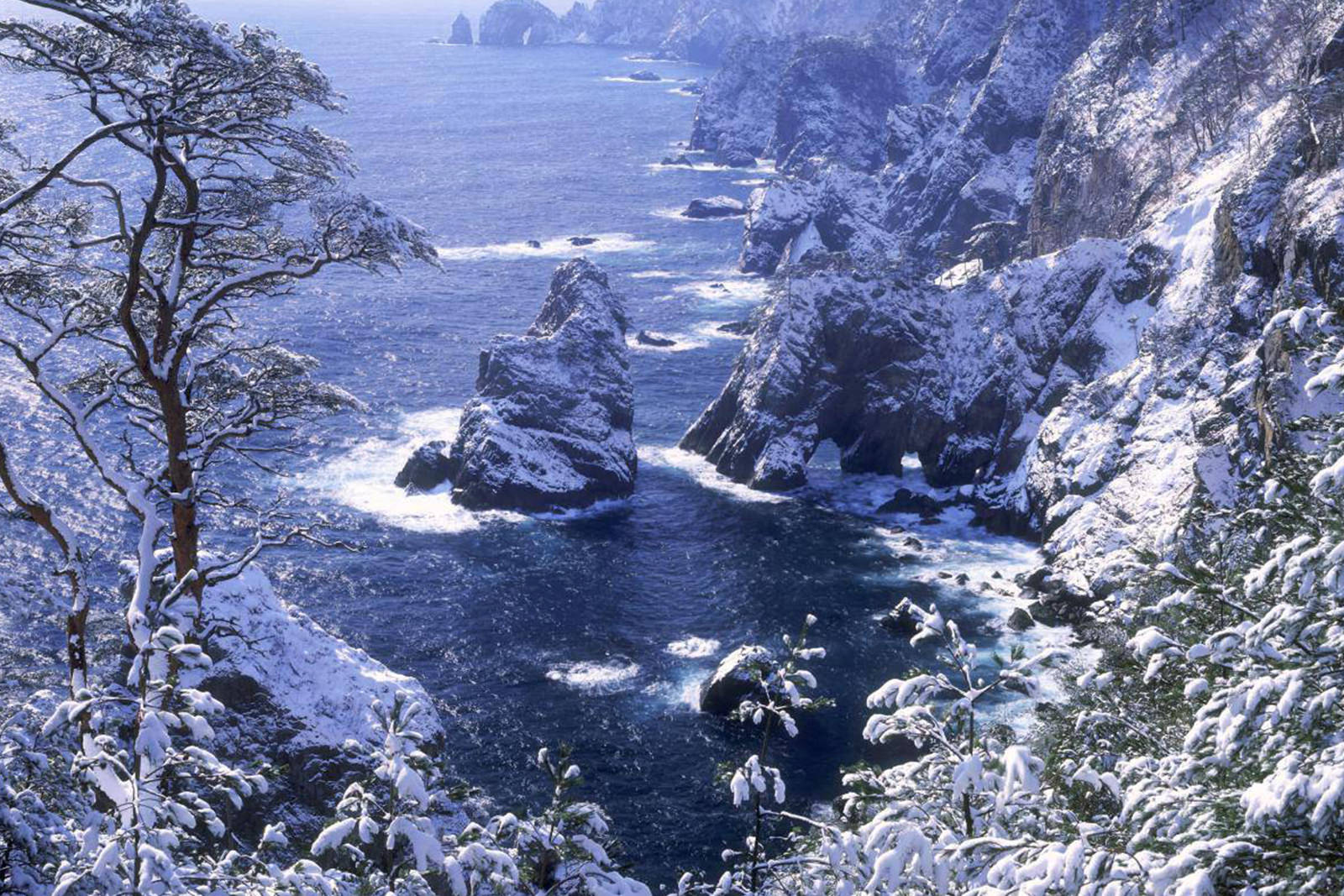 坐着“暖炉榻榻米”看海，岩手县“小海女”故乡巡礼 - 冬天 | 日本东北好玩到不行