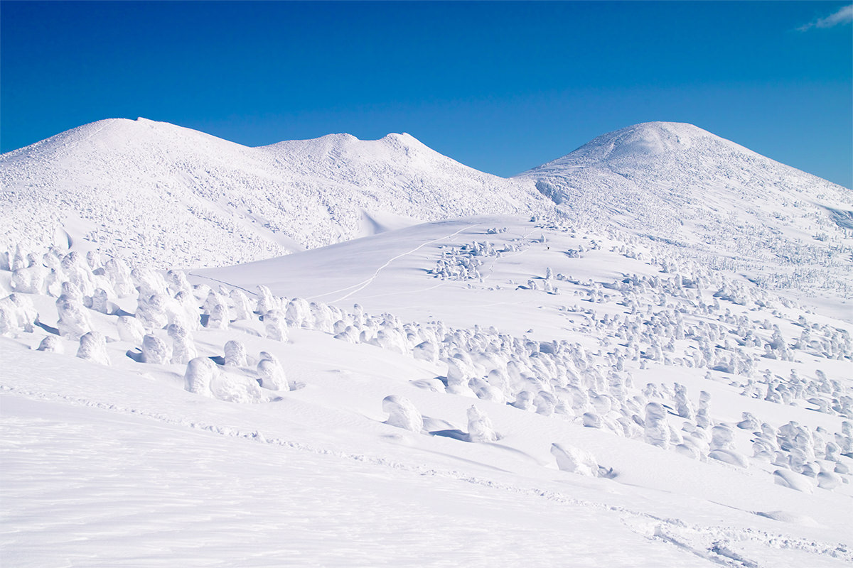 冬日里的热火朝天，享受八甲田山的树冰绝景和滑雪天地 - 冬天 | 日本东北好玩到不行