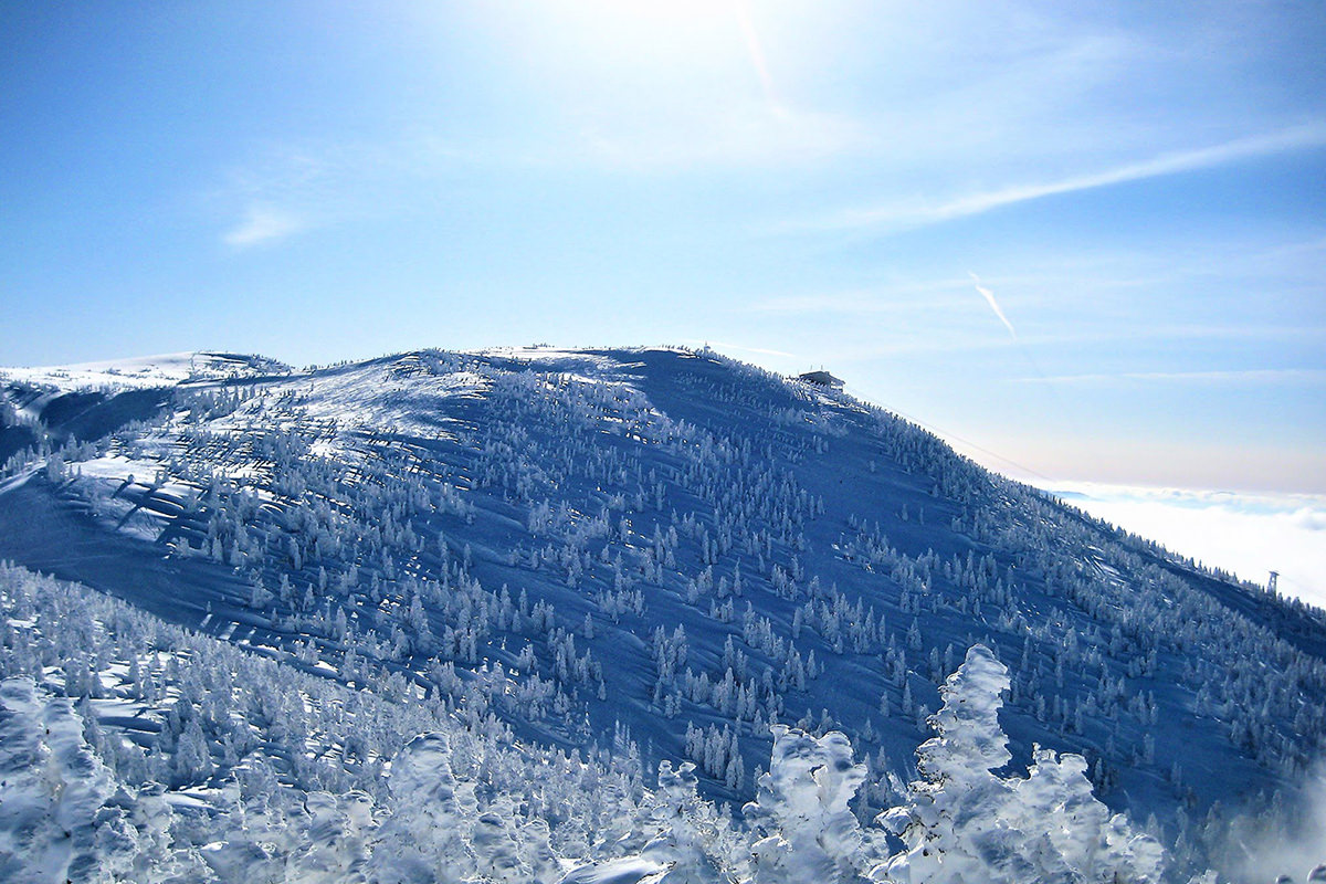 马上就能看到雪地上插的滑道指示牌 - 冬天 | 日本东北好玩到不行