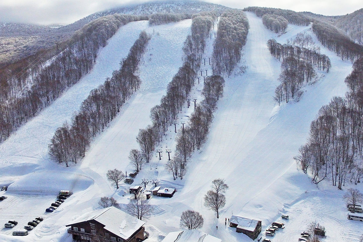 反倒激发我诗兴大发 - 冬天 | 日本东北好玩到不行