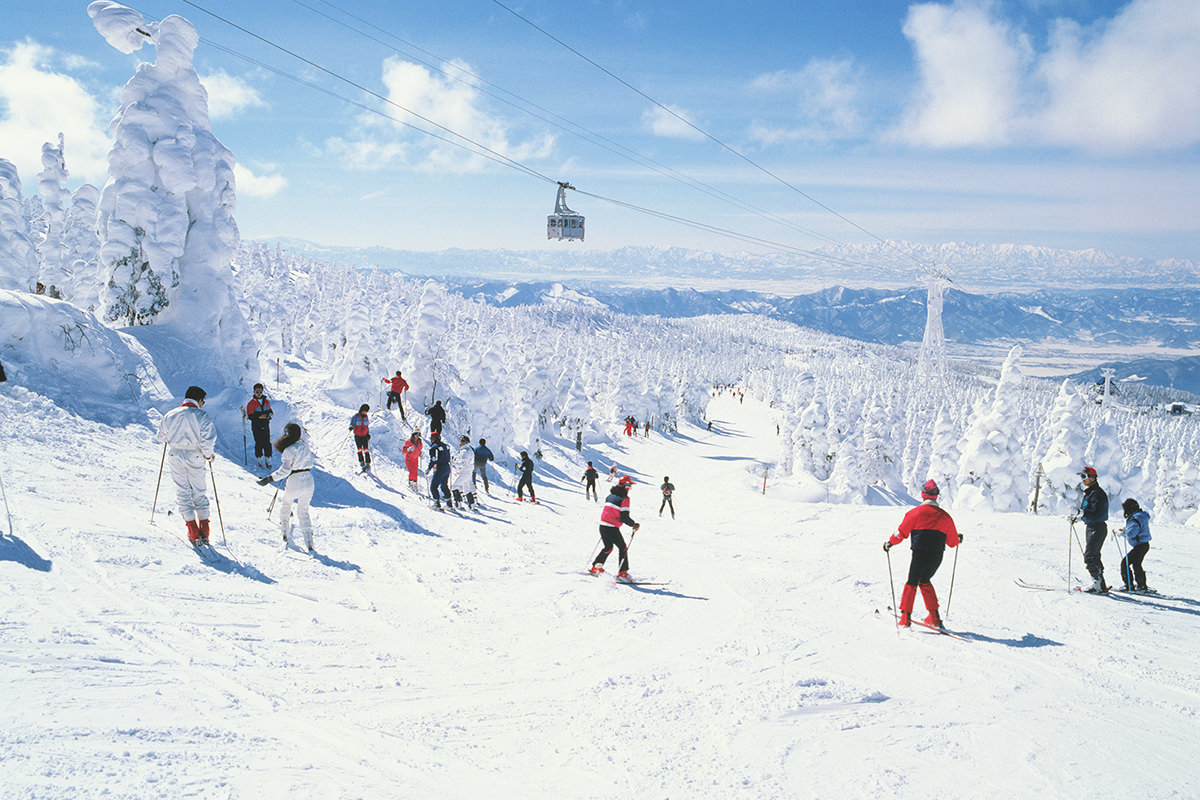 看来我非常有必要好好磨练一下滑雪技能了 - 冬天 | 日本东北好玩到不行