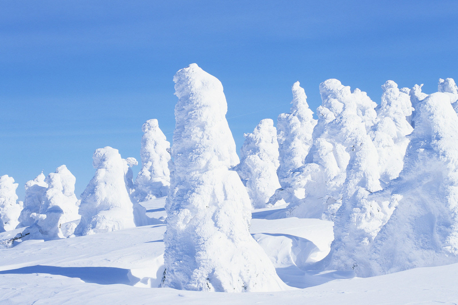 冬日里的热火朝天，享受八甲田山的树冰绝景和滑雪天地 - 冬天 | 日本东北好玩到不行