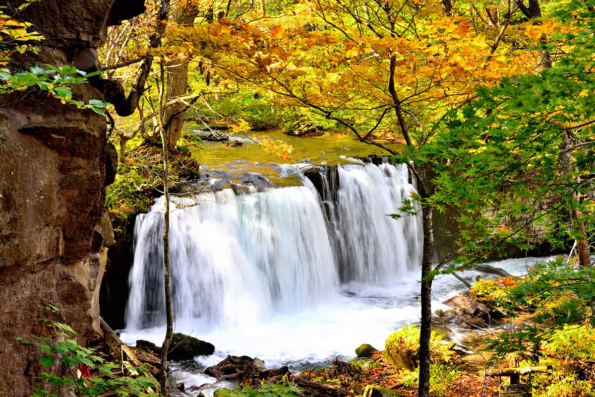 青森秋天鐵道、秘境、文化藝術小旅行 - 秋天 | 歡迎來到東北