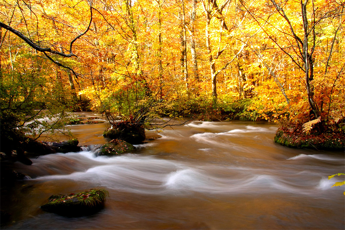 青森秋天鐵道、秘境、文化藝術小旅行 - 秋天 | 歡迎來到東北
