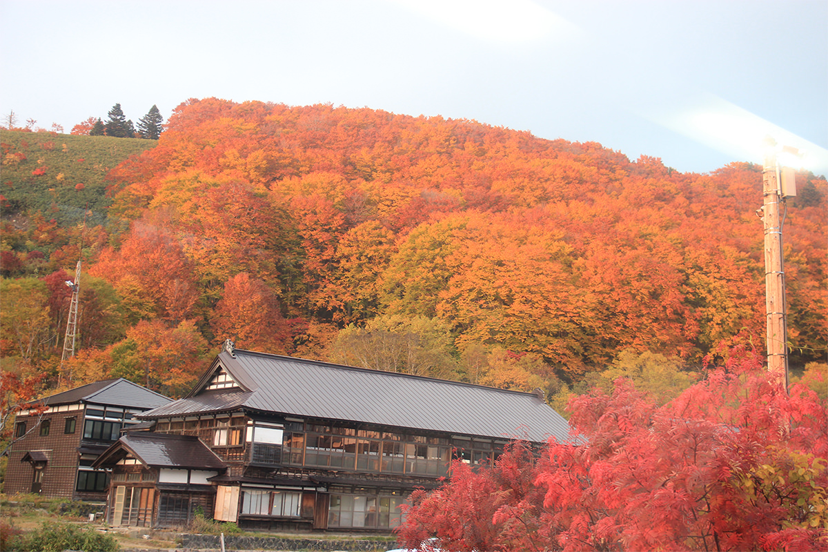 青森秋天鐵道、秘境、文化藝術小旅行 - 秋天 | 歡迎來到東北