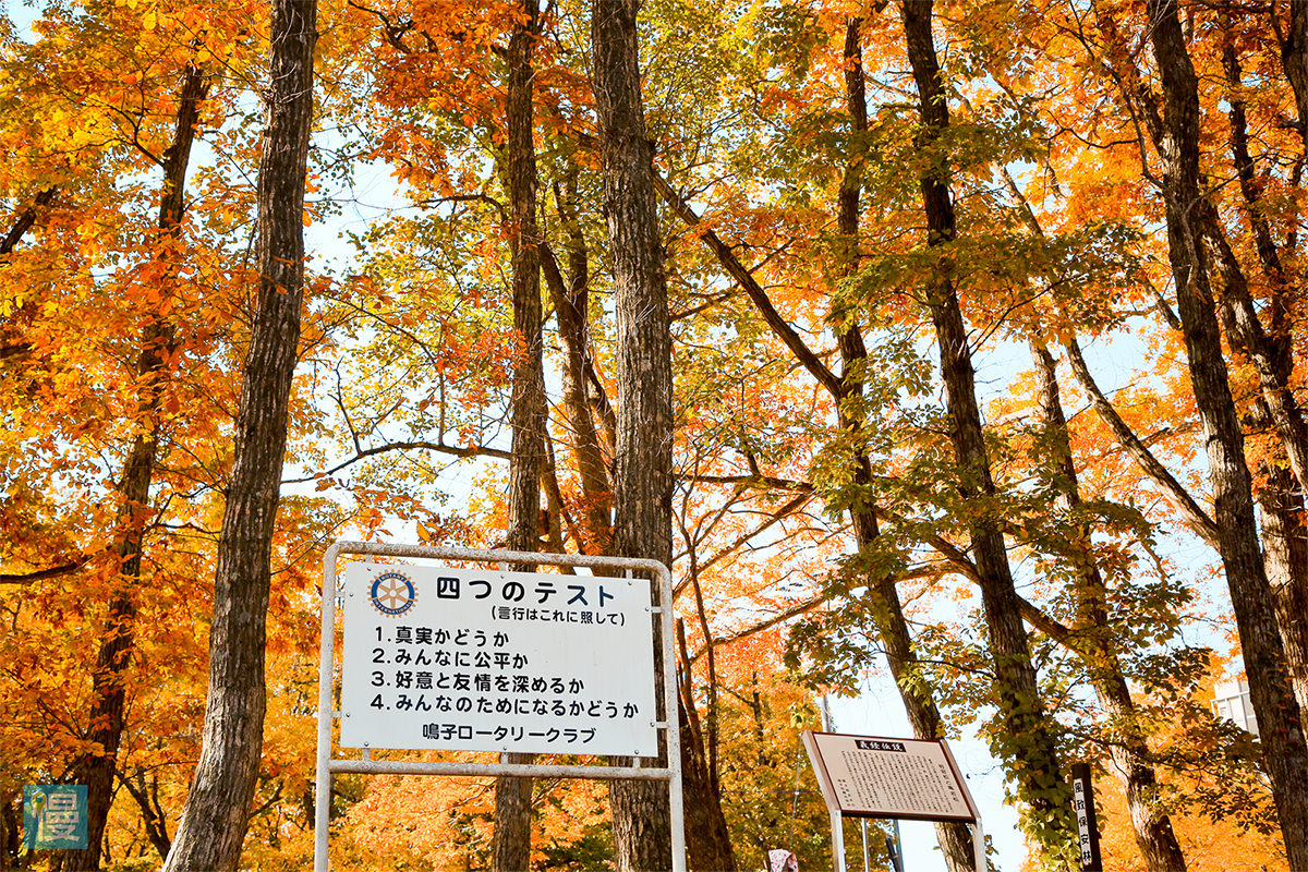 東北絕景鐵道紅葉狩 - 秋天 | 歡迎來到東北