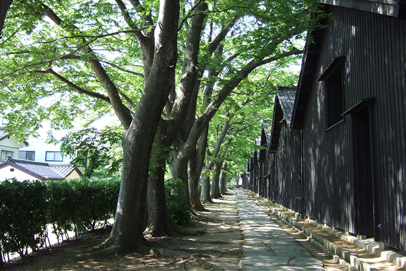 春遊山形享受地道美食，近距離接觸酒田舞娘之美 - 春天 | 歡迎來到東北