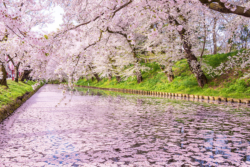 從青森的美食與工藝感受「地元」故事 - 春天 | 歡迎來到東北