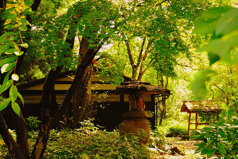 當一天秋田girl！開展仲夏文青療癒之旅 - 夏天 | 歡迎來到東北