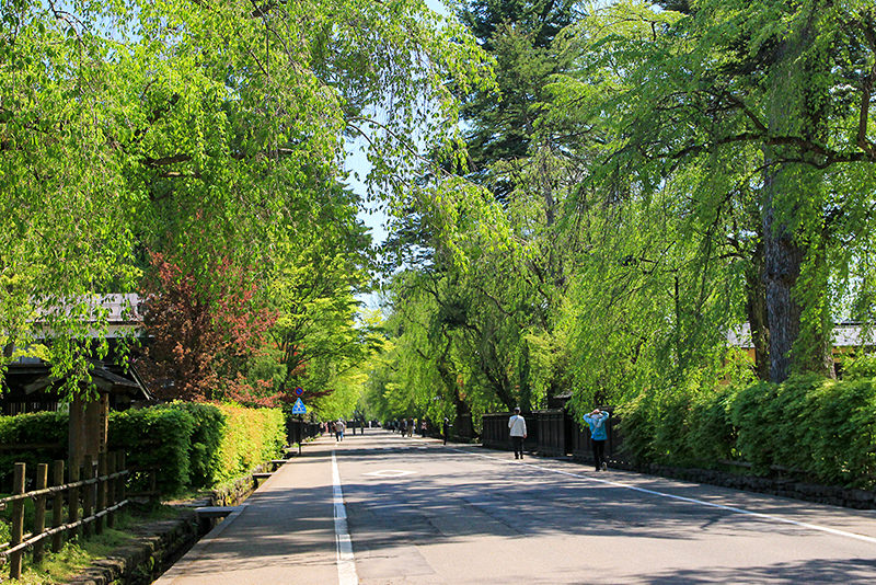 當一天秋田girl！開展仲夏文青療癒之旅 - 夏天 | 歡迎來到東北