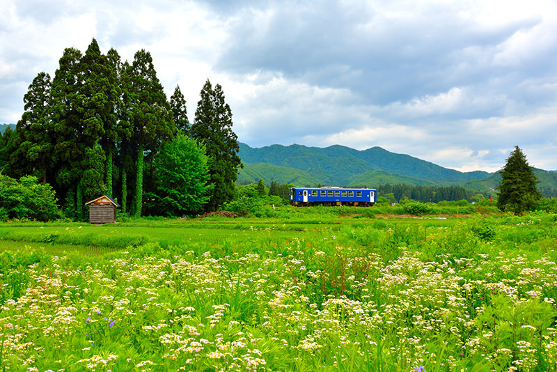 當一天秋田girl！開展仲夏文青療癒之旅 - 夏天 | 歡迎來到東北
