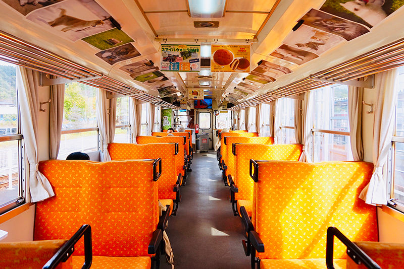 當一天秋田girl！開展仲夏文青療癒之旅 - 夏天 | 歡迎來到東北