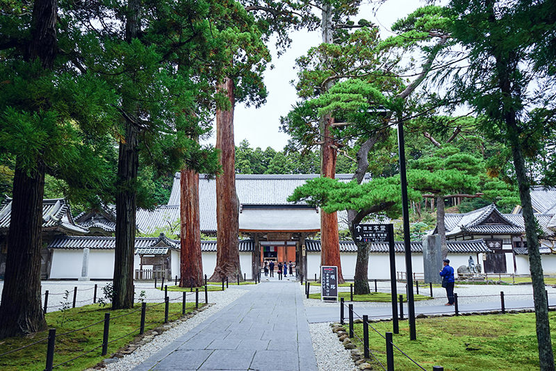 盛夏漫遊山形、福島和宮城 - 夏天 | 歡迎來到東北