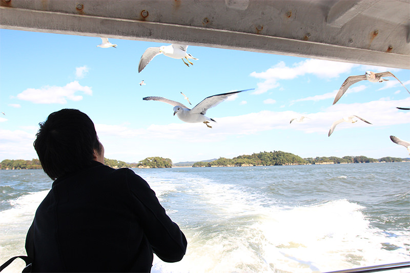 盛夏漫遊山形、福島和宮城 - 夏天 | 歡迎來到東北