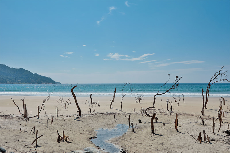 미야기현) 나를찾는 여행 Reborn-Art Festival 2019 - 여름 | 일본 동북지방에 오신 것을 환영합니다