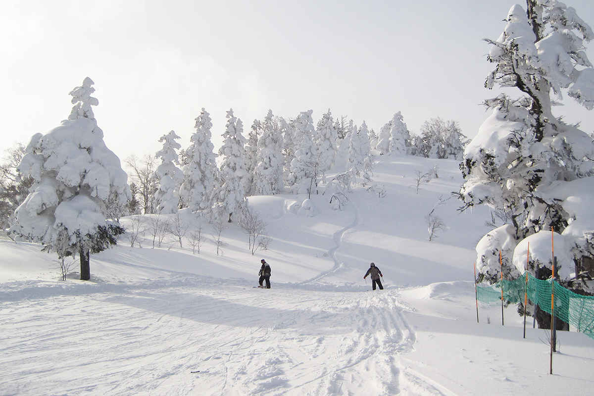 이와테-앗피 고원 스키 리조트 - 겨울 | 일본 동북지방에 오신 것을 환영합니다