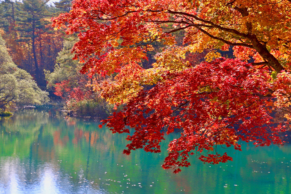 10 จุดชมใบไม้เปลี่ยนสีในภูมิภาคโทโฮคุ - ฤดูใบไม้ร่วง | ยินดีต้อนรับสู่โทโฮคุ