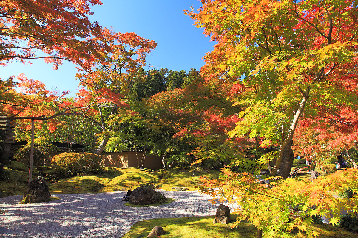 เดินทางแสวงบุญและชมใบไม้เปลี่ยนสีที่สามวัดใหญ่แห่งภาคเหนือด้วย JR Pass - ฤดูใบไม้ร่วง | ยินดีต้อนรับสู่โทโฮคุ