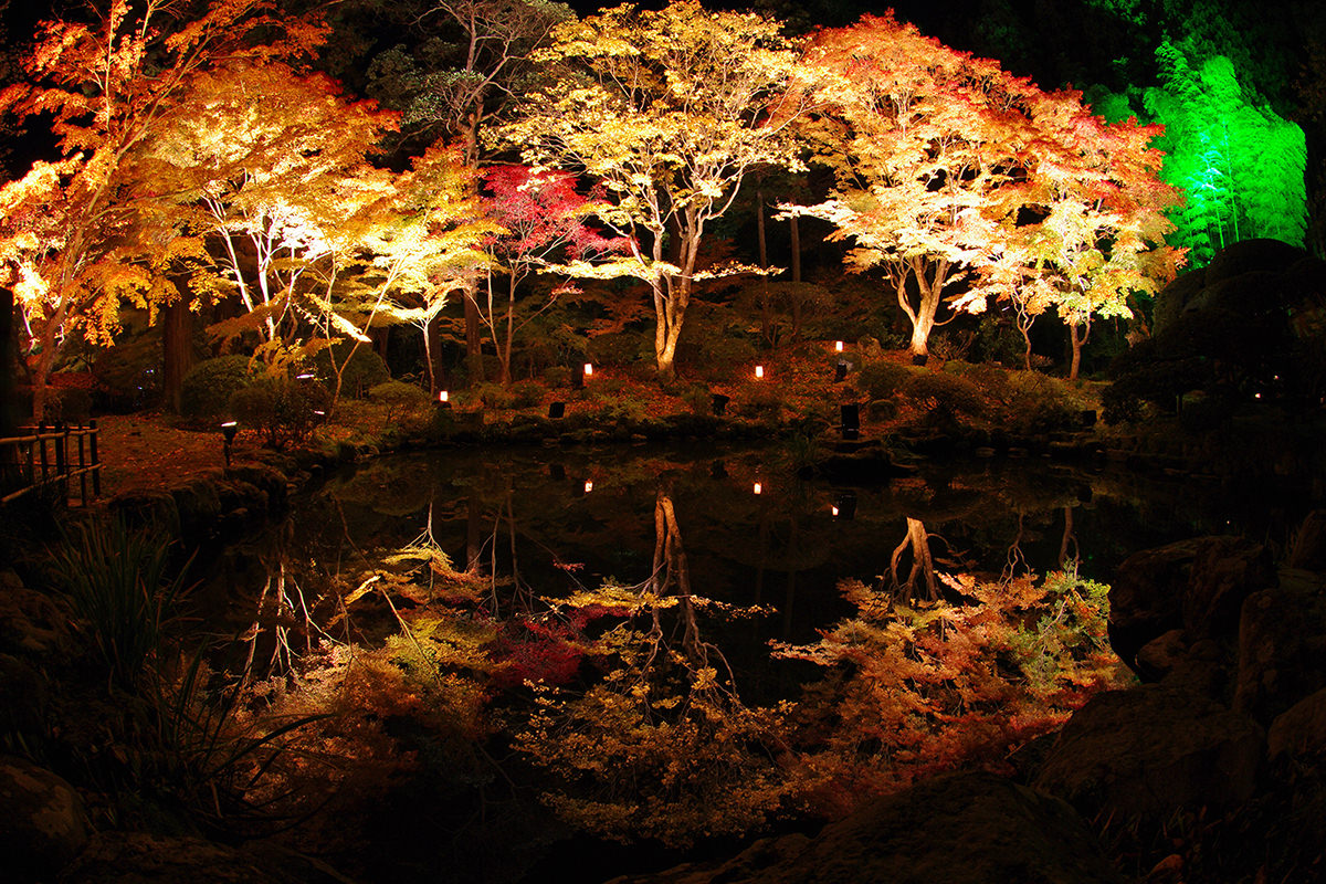 เดินทางแสวงบุญและชมใบไม้เปลี่ยนสีที่สามวัดใหญ่แห่งภาคเหนือด้วย JR Pass - ฤดูใบไม้ร่วง | ยินดีต้อนรับสู่โทโฮคุ