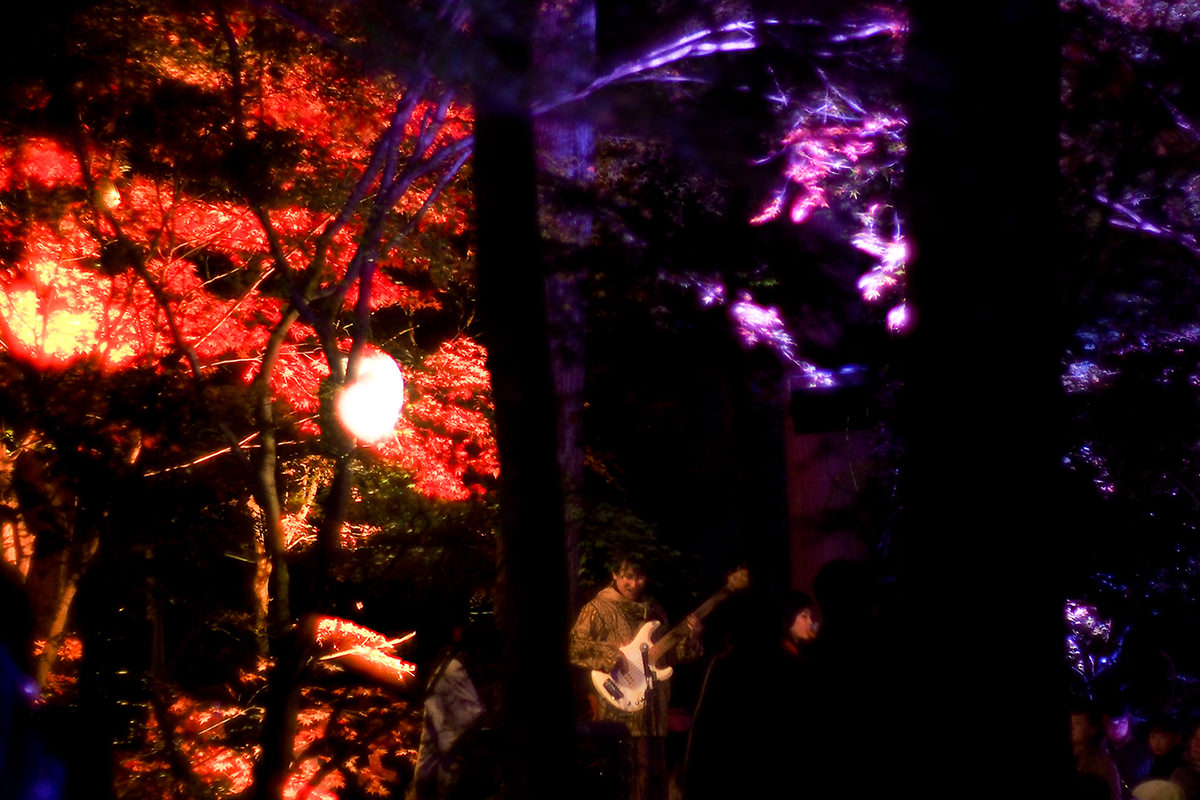 เดินทางแสวงบุญและชมใบไม้เปลี่ยนสีที่สามวัดใหญ่แห่งภาคเหนือด้วย JR Pass - ฤดูใบไม้ร่วง | ยินดีต้อนรับสู่โทโฮคุ