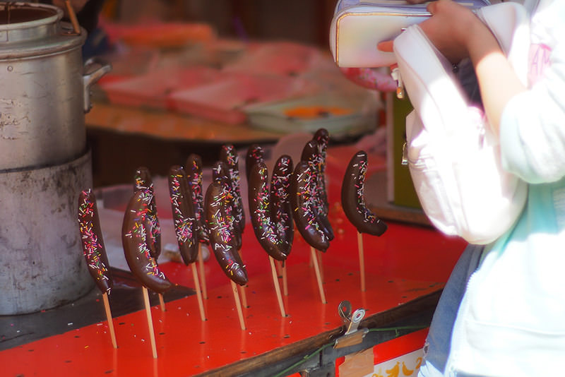 สู่ฮิโรซากิและอาโอโมริ ดินแดนแห่งฤดูใบไม้ผลิตอนเหนือ  - ฤดูใบไม้ผลิ | ยินดีต้อนรับสู่โทโฮคุ