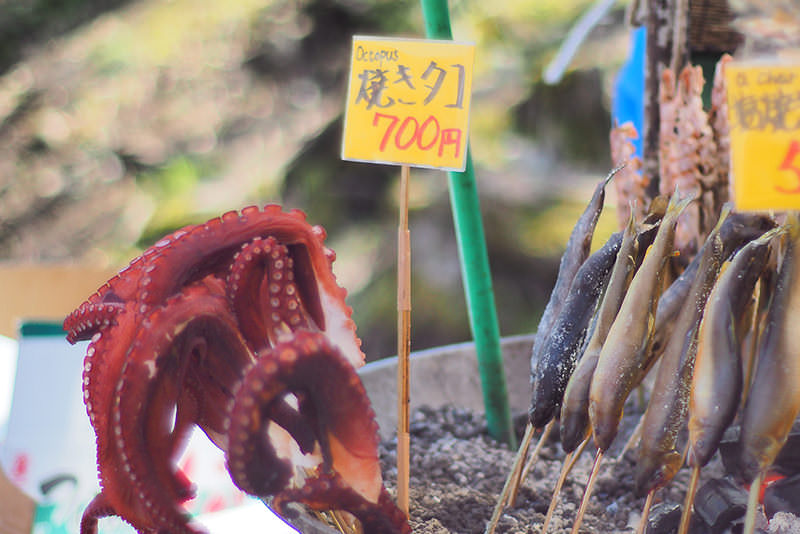 สู่ฮิโรซากิและอาโอโมริ ดินแดนแห่งฤดูใบไม้ผลิตอนเหนือ  - ฤดูใบไม้ผลิ | ยินดีต้อนรับสู่โทโฮคุ