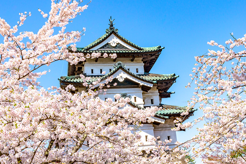 สู่ฮิโรซากิและอาโอโมริ ดินแดนแห่งฤดูใบไม้ผลิตอนเหนือ  - ฤดูใบไม้ผลิ | ยินดีต้อนรับสู่โทโฮคุ