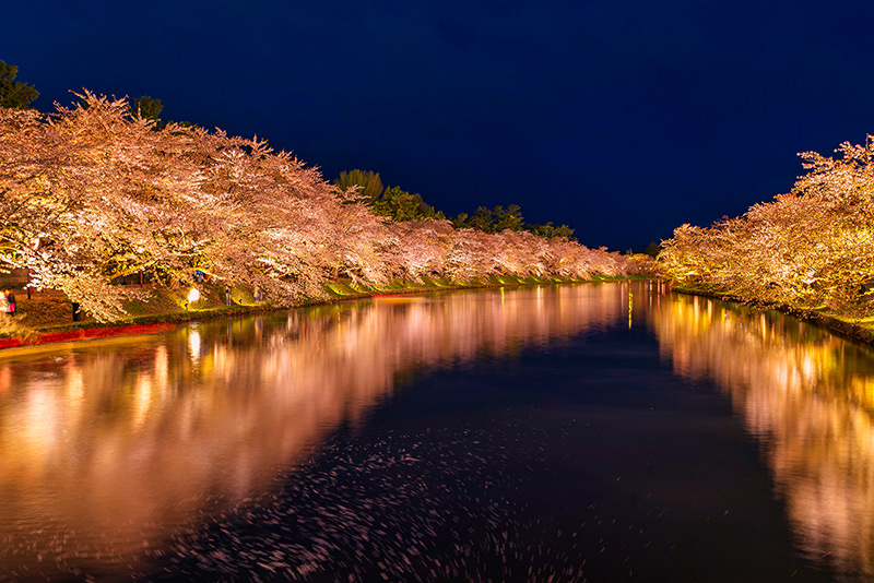 สู่ฮิโรซากิและอาโอโมริ ดินแดนแห่งฤดูใบไม้ผลิตอนเหนือ  - ฤดูใบไม้ผลิ | ยินดีต้อนรับสู่โทโฮคุ