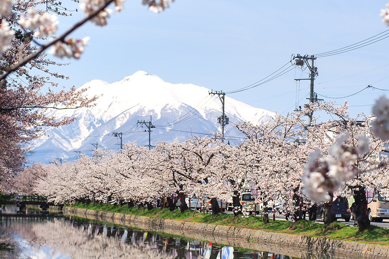 สู่ฮิโรซากิและอาโอโมริ ดินแดนแห่งฤดูใบไม้ผลิตอนเหนือ  - ฤดูใบไม้ผลิ | ยินดีต้อนรับสู่โทโฮคุ