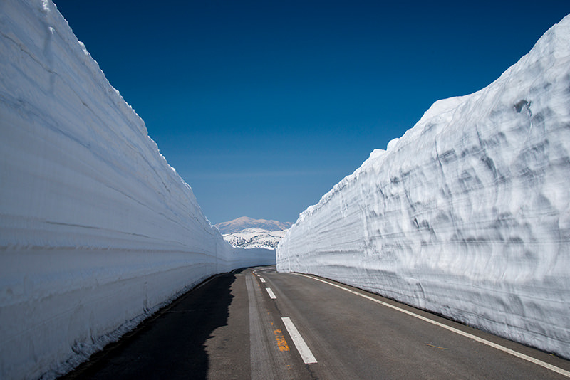 จังหวัดอาคิตะและอิวาเตะ เมืองลับแลทางเหนือของญี่ปุ่นที่รอคุณไปเยือน - ฤดูใบไม้ผลิ | ยินดีต้อนรับสู่โทโฮคุ