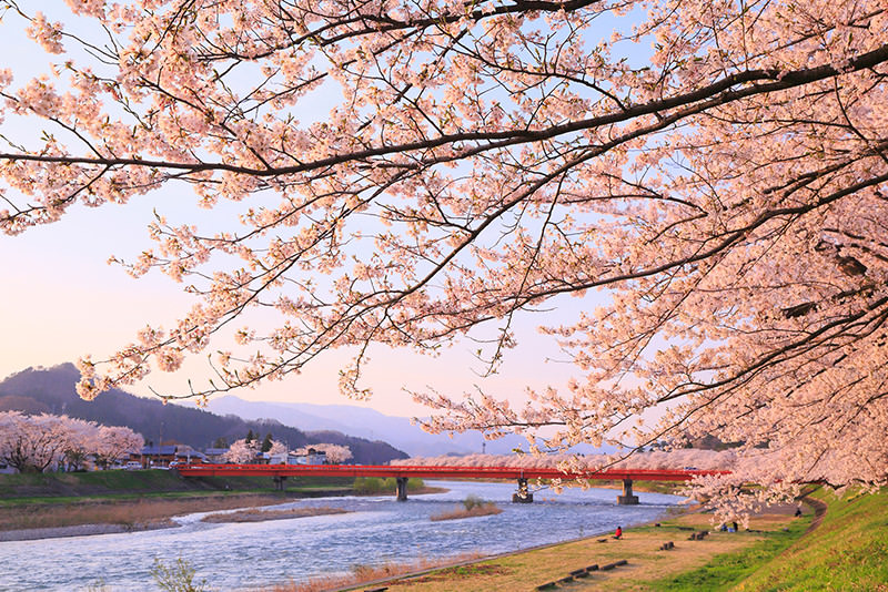 จังหวัดอาคิตะและอิวาเตะ เมืองลับแลทางเหนือของญี่ปุ่นที่รอคุณไปเยือน - ฤดูใบไม้ผลิ | ยินดีต้อนรับสู่โทโฮคุ