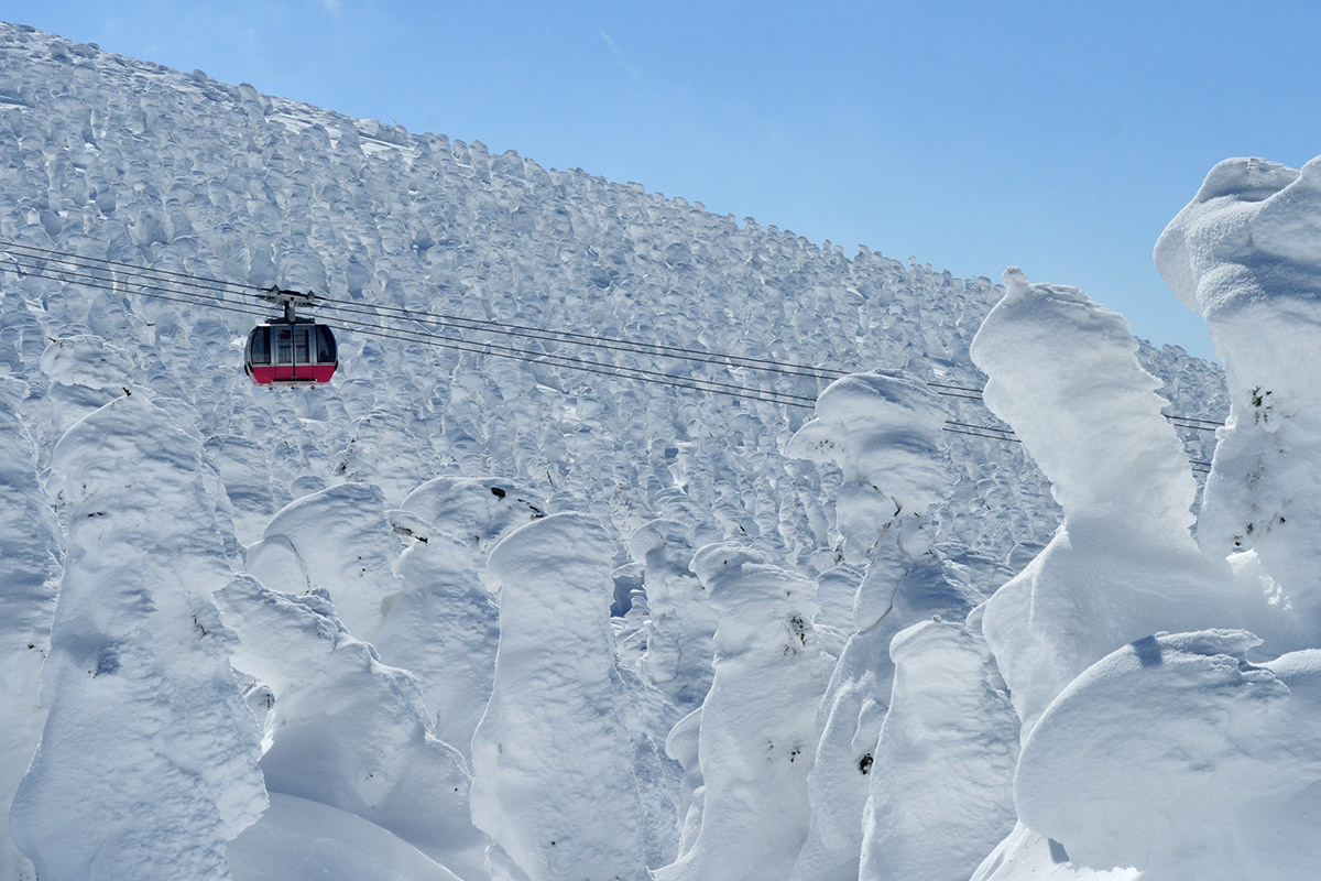 เทศกาลปีศาจหิมะที่ซาโอะ จังหวัดยามากาตะ (Zao Snow Monster Festival) - ฤดูหนาว | ยินดีต้อนรับสู่โทโฮคุ