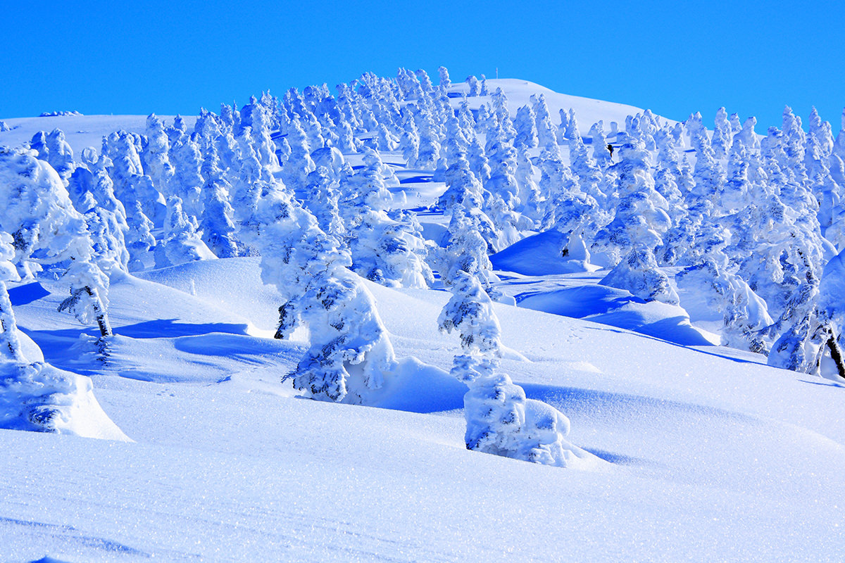 ท่องไปในจังหวัดอากิตะยามฤดูหนาวผ่านเส้นทางรถไฟสายอากิตะไนริคุ - ฤดูหนาว | ยินดีต้อนรับสู่โทโฮคุ