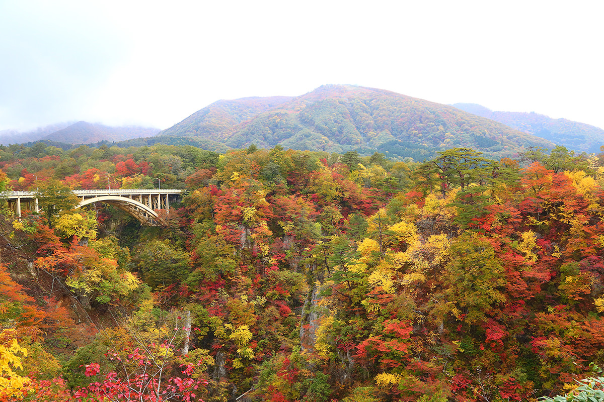 南東北(福島､宮城､山形)秋日賞楓小旅行提案 - 秋天 | 歡迎來到東北