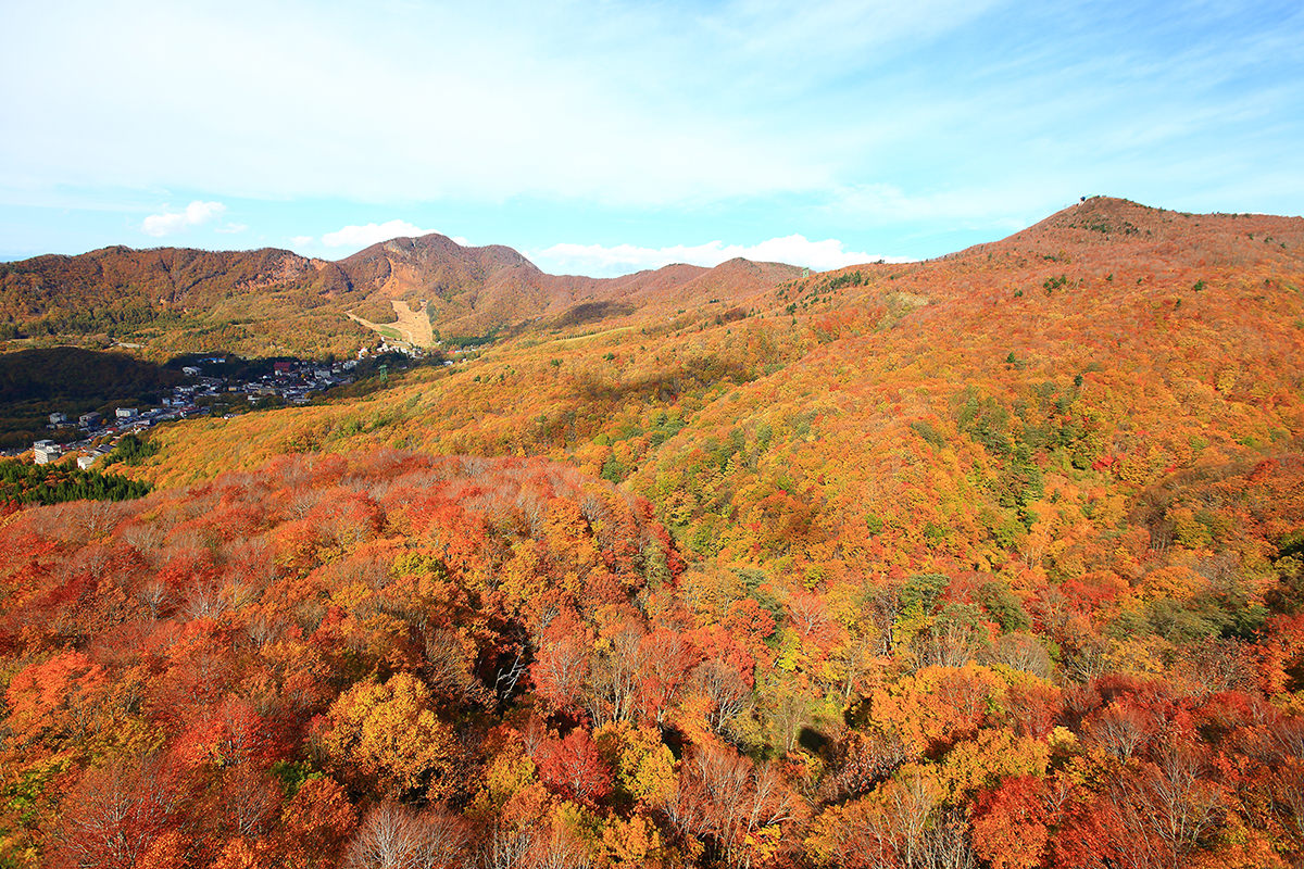 南東北(福島､宮城､山形)秋日賞楓小旅行提案 - 秋天 | 歡迎來到東北